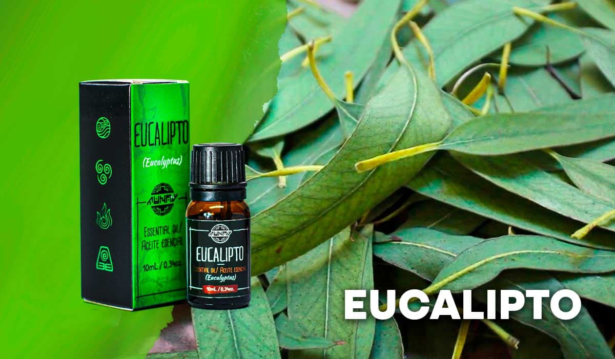 ACEITE DE EUCALIPTO: BENEFICIOS Y USOS