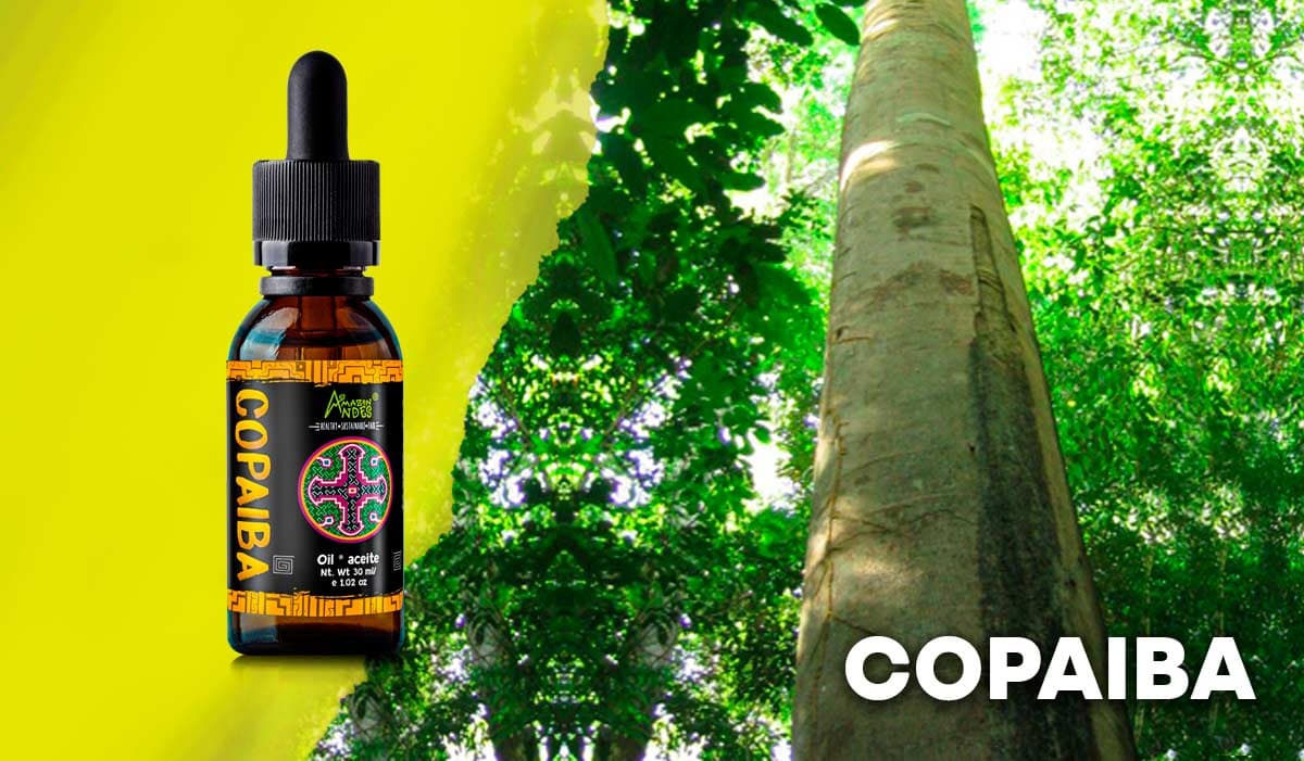 Aceite de copaiba, beneficios y propiedades: contra gastritis y cicatrizante