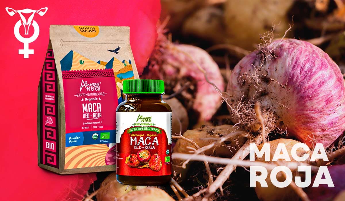 Maca roja: Ayuda en la menopausia y mejora del libido l ENERGY GREEN