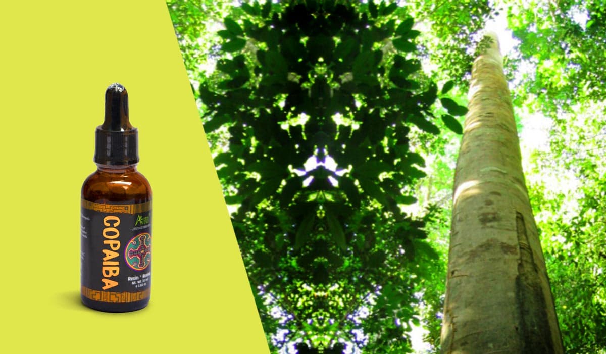 comprar aceite de copaiba