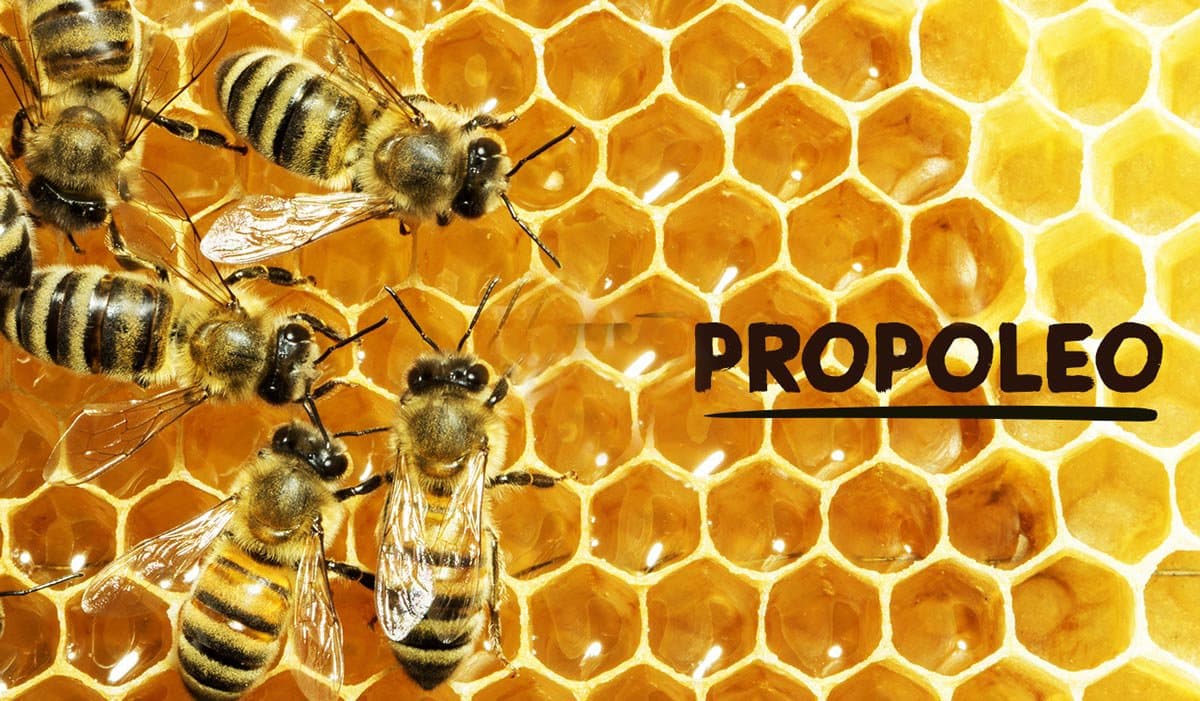 PROPOLIS: GREAT BENEFITS
