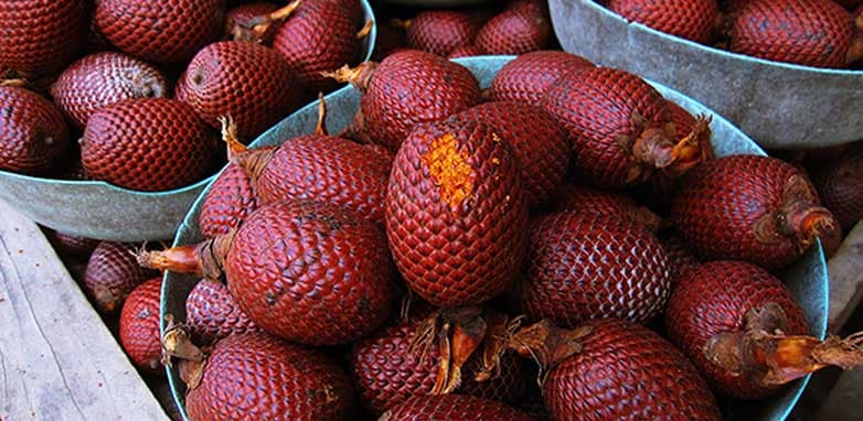 AGUAJE WITH RED MACA, BENEFITS FOR BEAUTY AND FEMALE FERTILITY