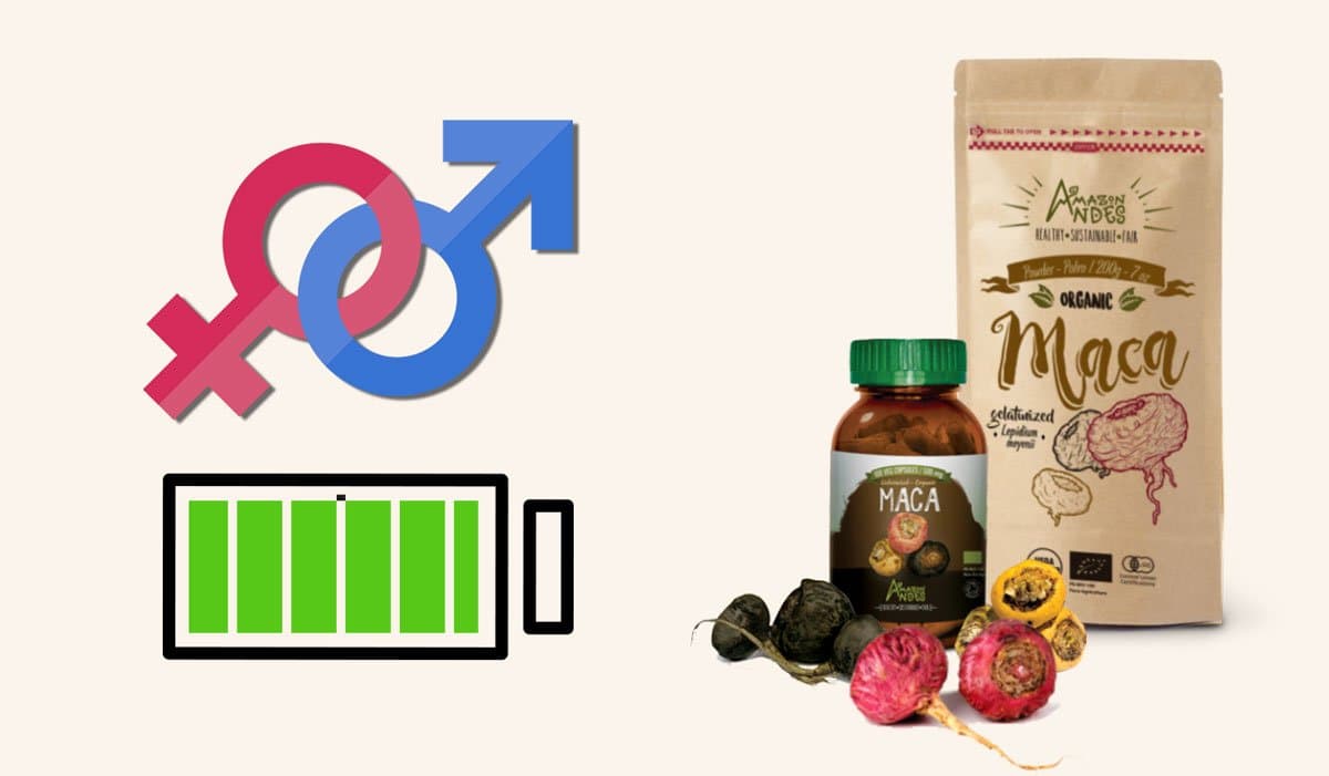 YELLOW, RED AND BLACK MACA USES, BENEFITS AND CONTRAINDICATIONS
