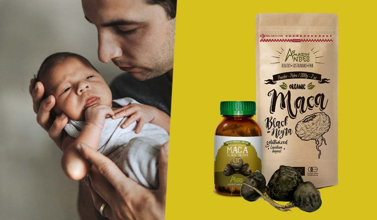 BLACK MACA, PROPERTIES, BENEFITS AND CONTRAINDICATIONS