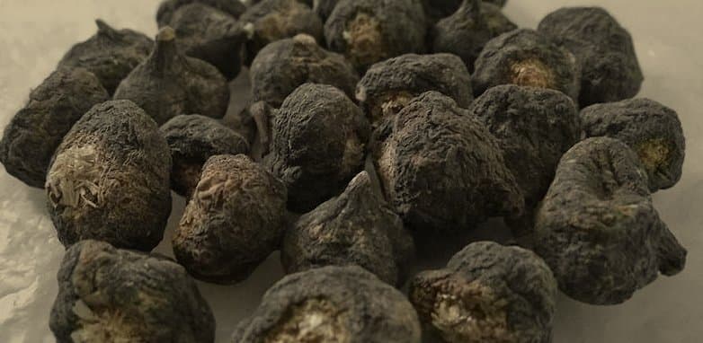 Black Maca & Creatine