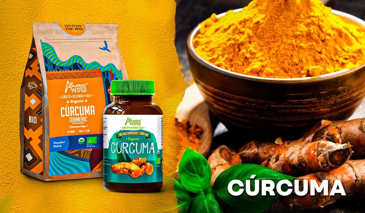 CURCUMA – Propiedades, beneficios y contraindicaciones – ENERGY GREEN