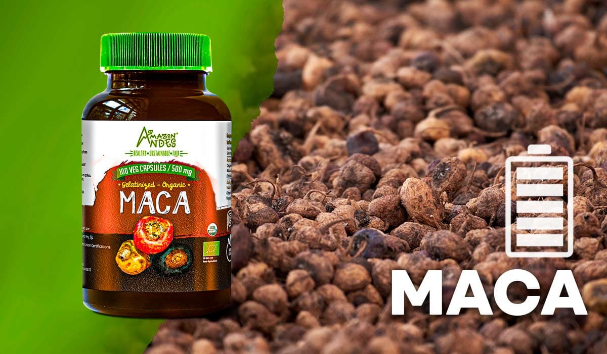 Maca – Usos, beneficios y contraindicaciones – ENERGY GREEN