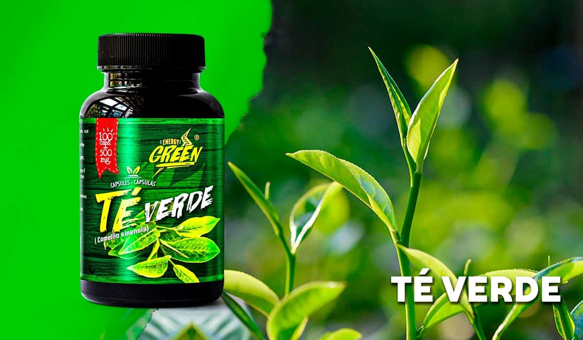 Té verde en capsulas l Aliado contra la obesidad y el sobrepeso