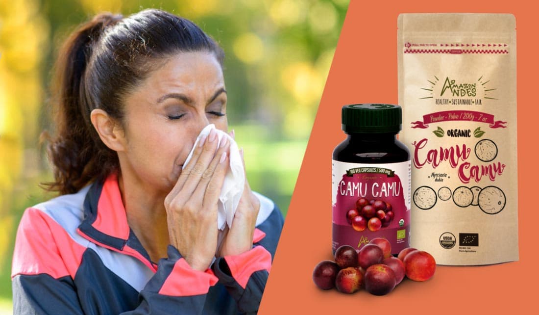 CAMU CAMU, A SUPER FOOD THAT STRENGTHENS THE IMMUNOLOGICAL SYSTEM