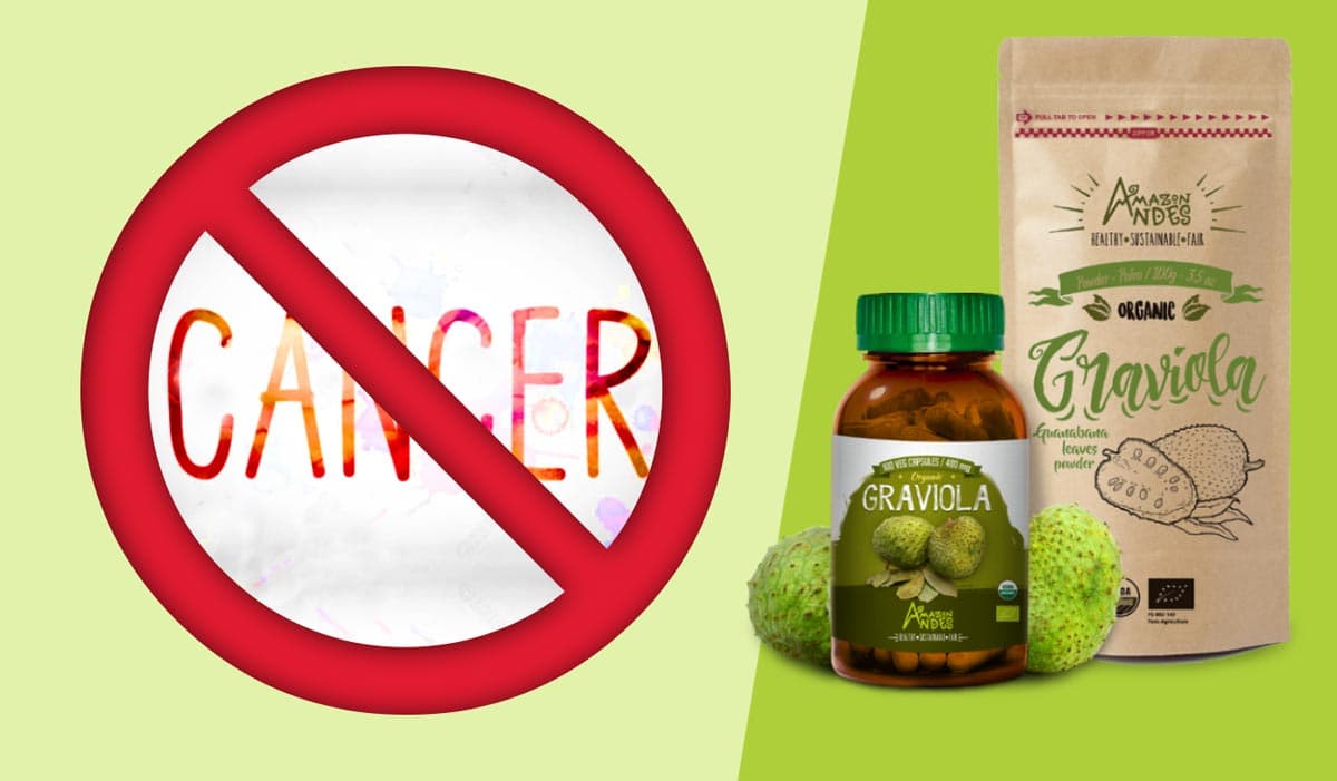 GRAVIOLA OR SOURSOP, USES, BENEFITS AND CONTRAINDICATIONS